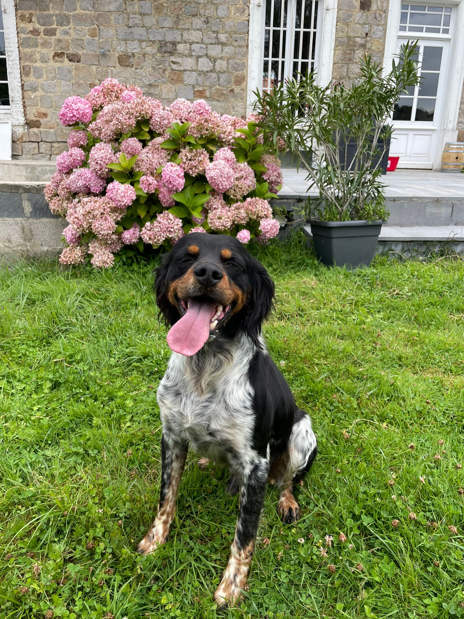 Père