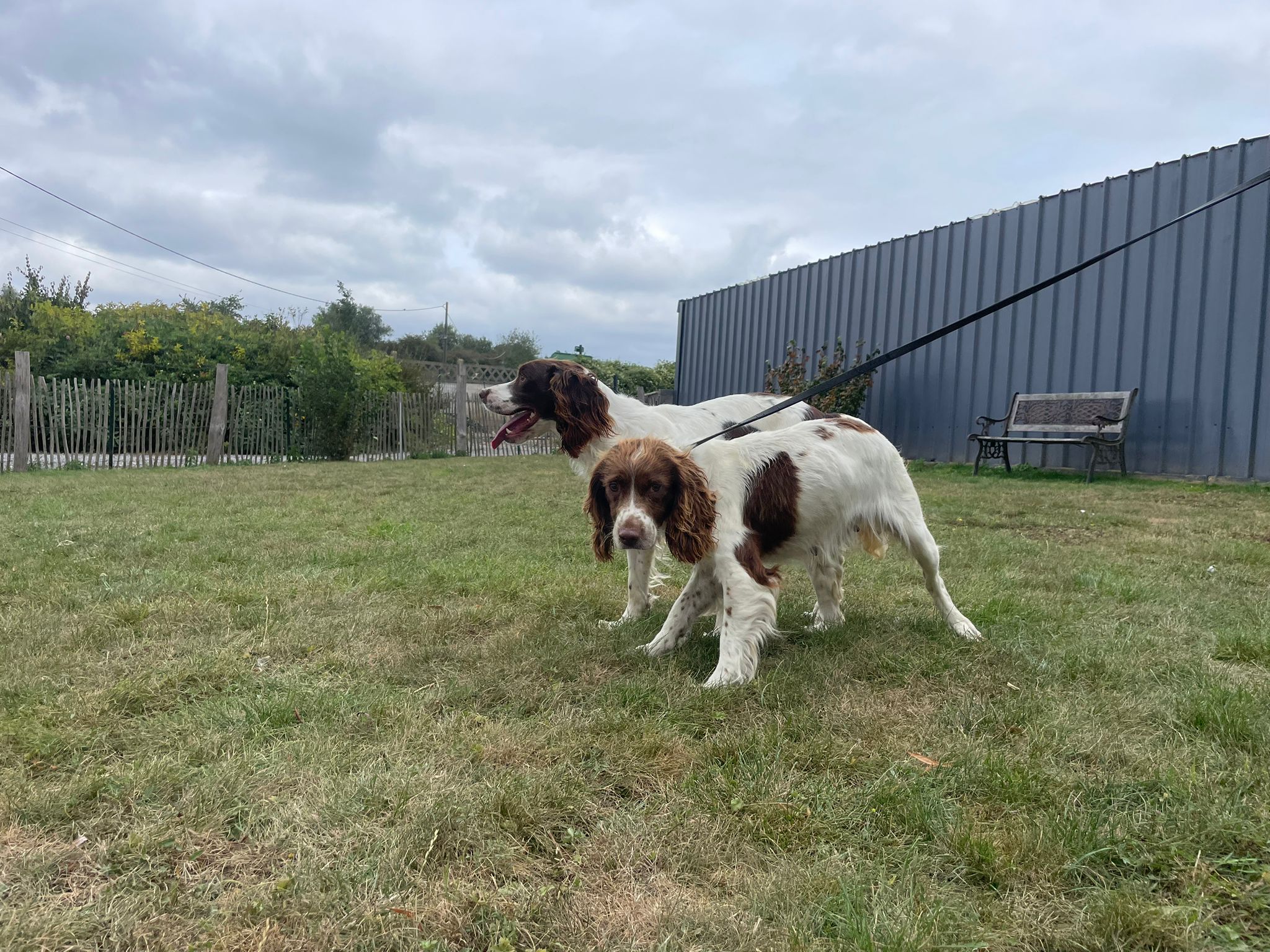 Mère